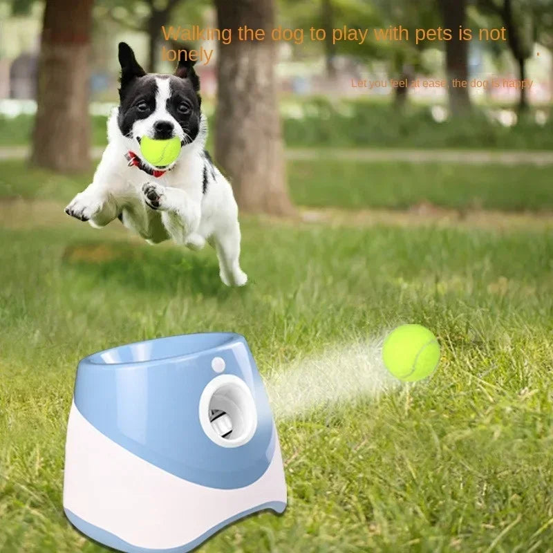 Automatic Pet Ball Launcher