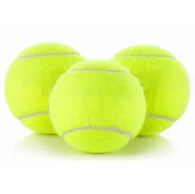 Automatic Pet Ball Launcher