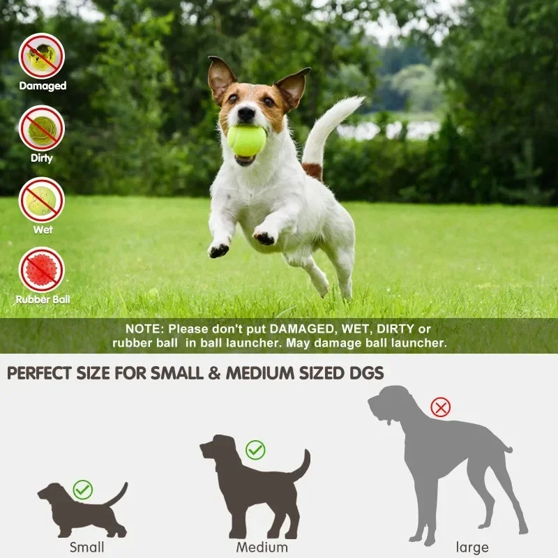Automatic Pet Ball Launcher
