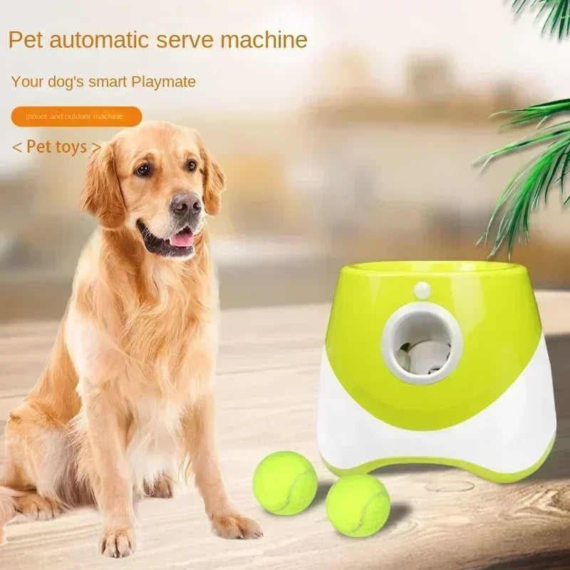 Automatic Pet Ball Launcher