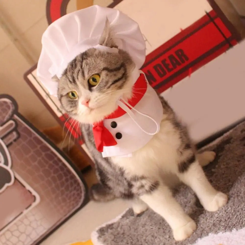 Cat Chef Hat Set