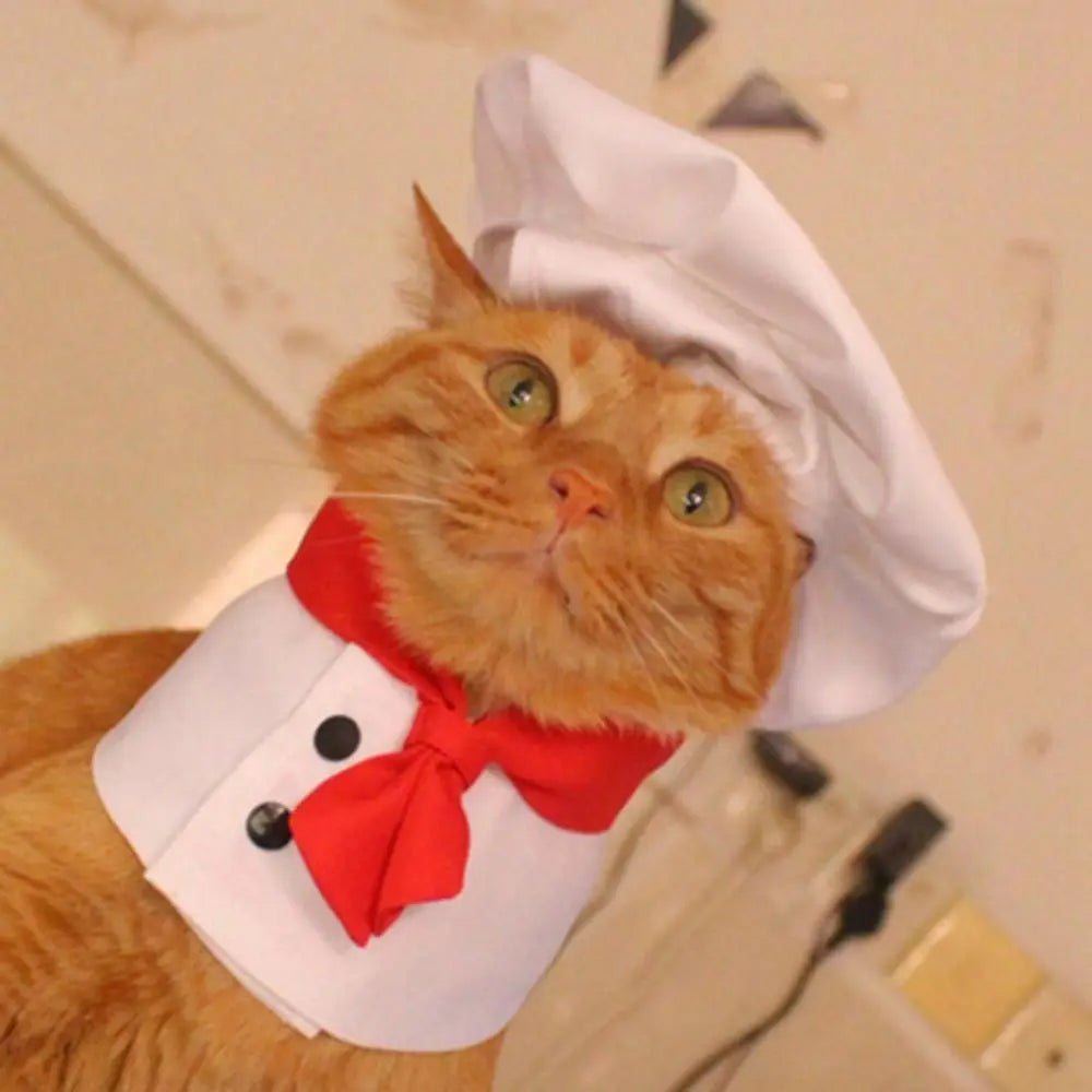 Cat Chef Hat Set