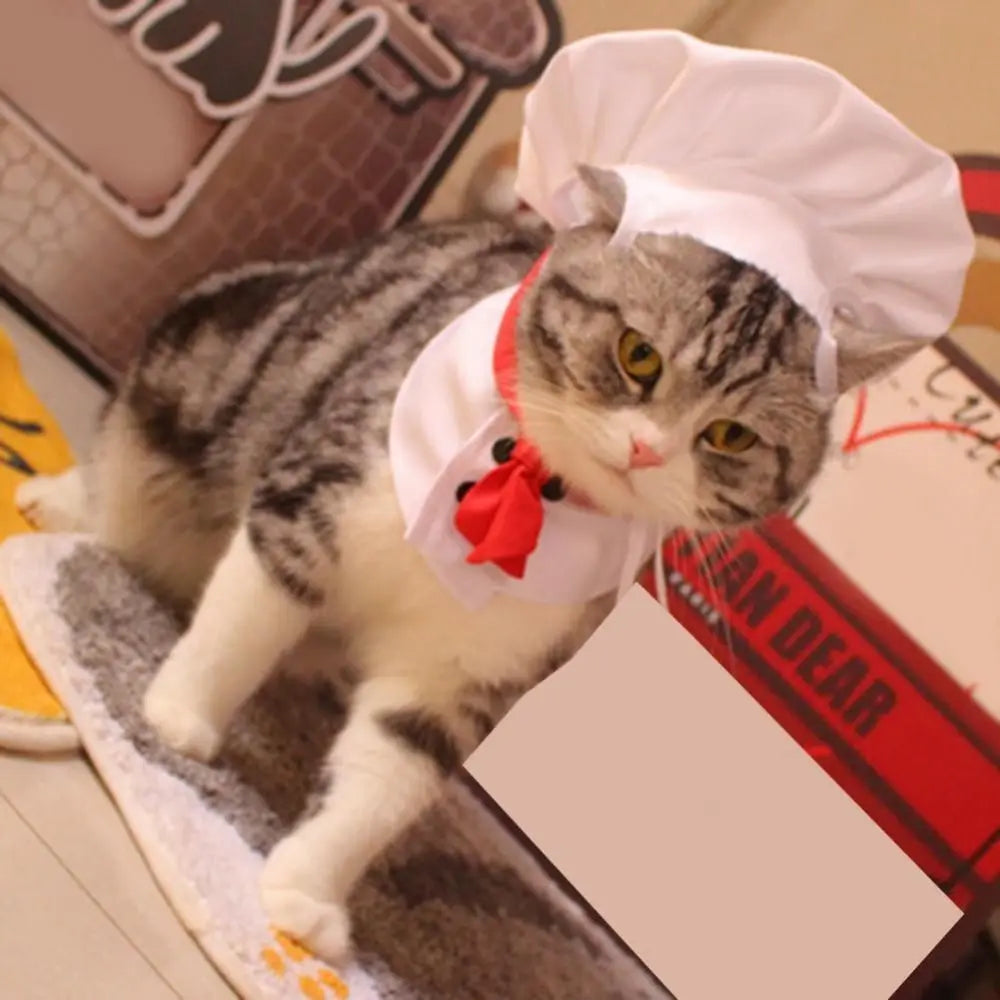 Cat Chef Hat Set
