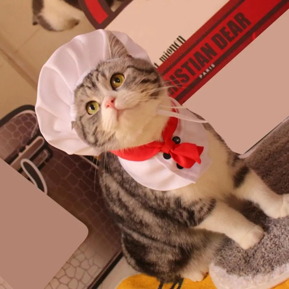 Cat Chef Hat Set