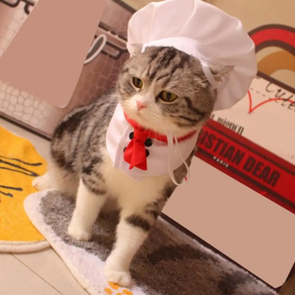 Cat Chef Hat Set
